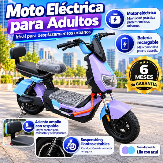 Moto eléctrica ZM