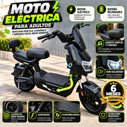 Moto eléctrica ZM